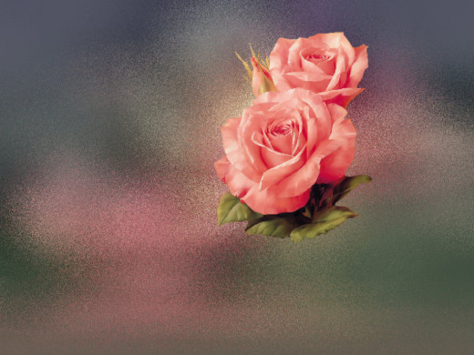 �16719 �������(a): ����������:1024x768